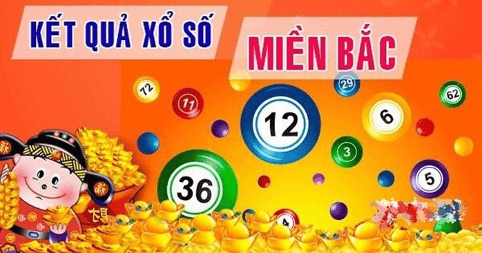 ongbachkim.com